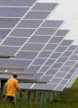 U.S. Solar Panel Makers Accuse China of Dumping