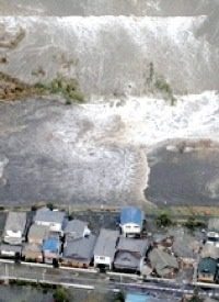 Japanese Tsunami and Its After-effects