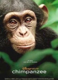 Disney’s “Chimpanzee”: an Irresistible Family-friendly Film