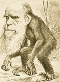 Teacher Fired for Critical View of Evolution
