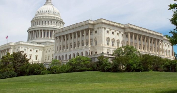Challenging  the Congressional GOP Establishment