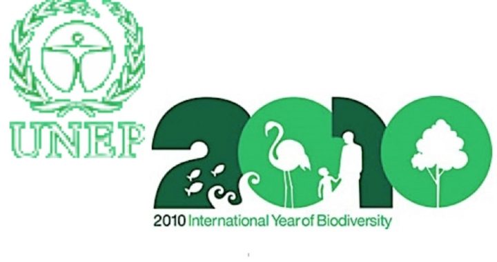 Global Green Regime: The Biodiversity Treaty