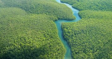 The Amazing Amazon: Deforestation Myths Corrected