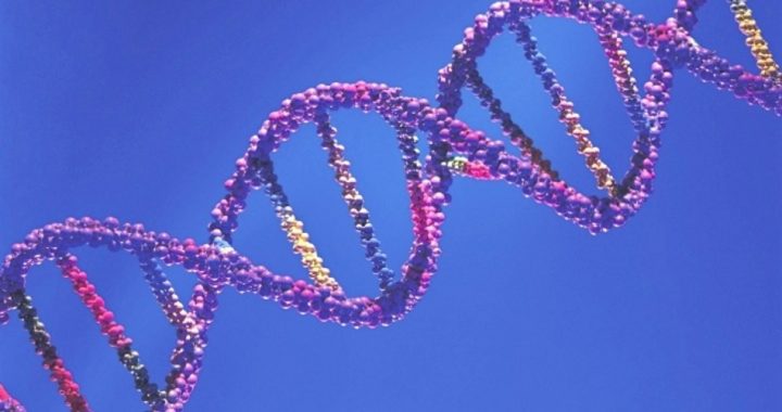DHS Will Be Collecting DNA Samples, Reports EEF