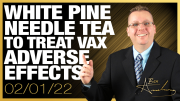 Vaccine Adverse Effects Can Be Treated With White Pine Needle Tea!