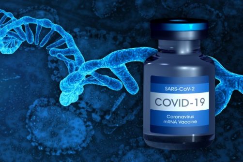 Study: Pfizer COVID Vax Is Converted Into Liver Cells’ DNA