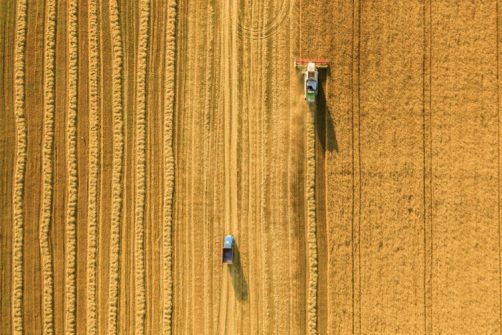 War in Ukraine Threatens Global Food Security: Reports