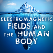Electromagnetic Fields and the Human Body