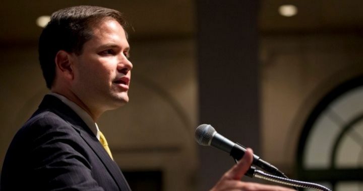 Rubio as VP: Is the Fix In or Is He Out?