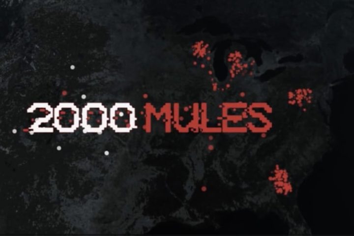 “2000 Mules” Full of Must-See Surprises