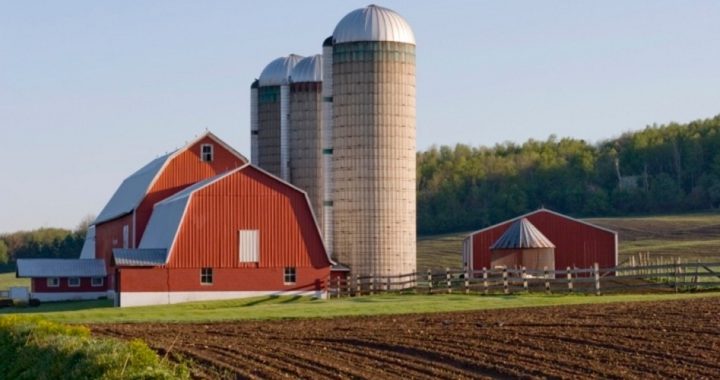 More Help for Farmers from Obama and the USDA