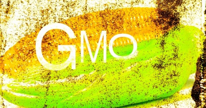 California’s Prop 37 Could Force Labeling of GMO Foods