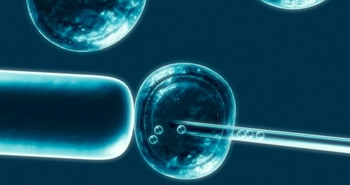 Federal Court Rules in Favor of Embryonic Stem-cell Research