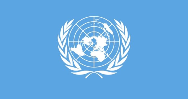 GOP Platform Rejects UN Agenda 21 as Threat to Sovereignty