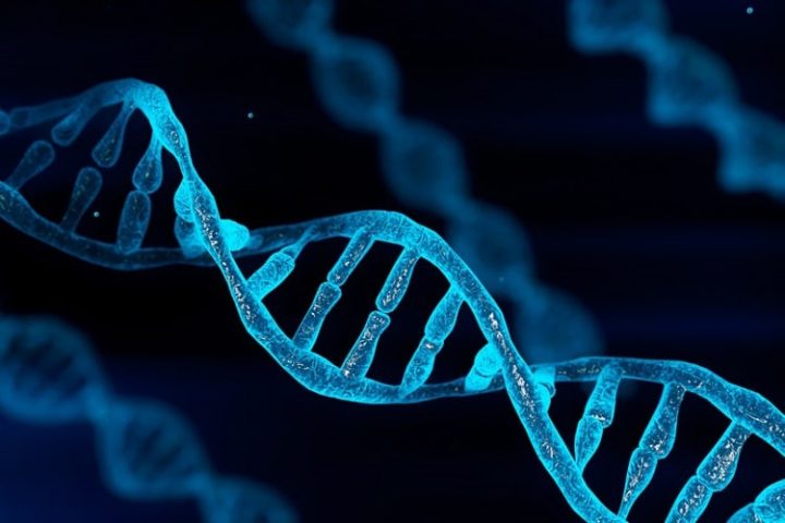 U.S. Officials Warn of DNA Biowarfare