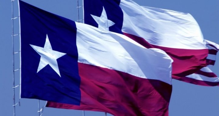 Texas Lawmaker Challenges Constitutionalist Colleagues