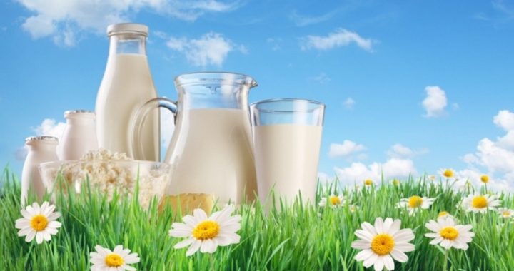 Jury Clears Minnesota Farmer of Raw Milk Charges