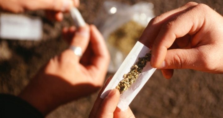 Marijuana May Harm Intelligence in Teen Users, New Study Finds
