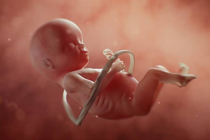 Indiana Judge Blocks New Abortion Restrictions
