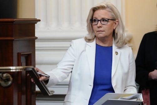 RINO Liz Cheney to Support Democrats