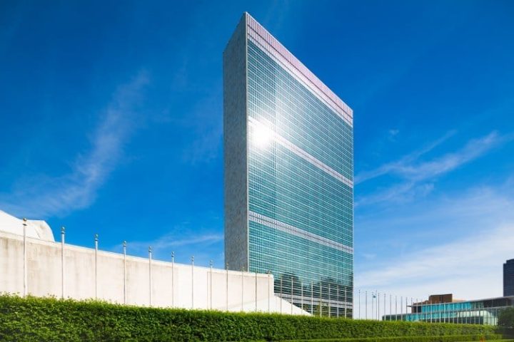 UN Official Tells World Economic Forum: “We Own the Science”