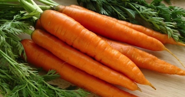 Spanish Theater Owner Starts “Carrot Rebellion” to Protest Tax Increase