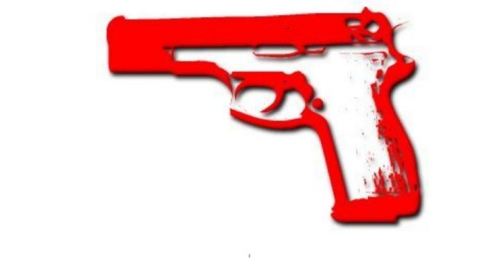 UN Global Gun Ban Flimflam