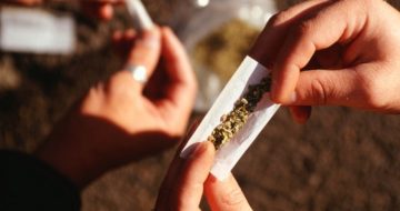 Americans Side With Constitution on Marijuana Laws, Gallup Finds