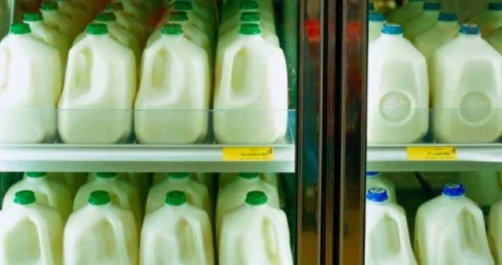 Americans to Get Creamed by Higher Milk Prices Unless Congress Acts