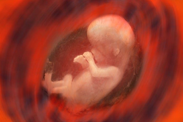 EU Legislates for Sale of Human Embryos Amid Intense Backlash