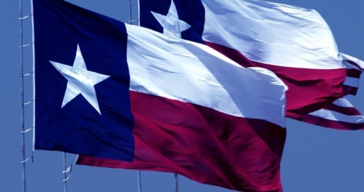 Texas Bill Would Prepare for Federal Meltdown