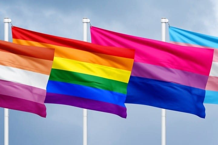 Leftist Teacher Encourages Children to Pledge Allegiance to “Progress Pride Flag”