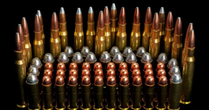 Florida Lawmakers Want Anger Management Training Required for Buying Ammo