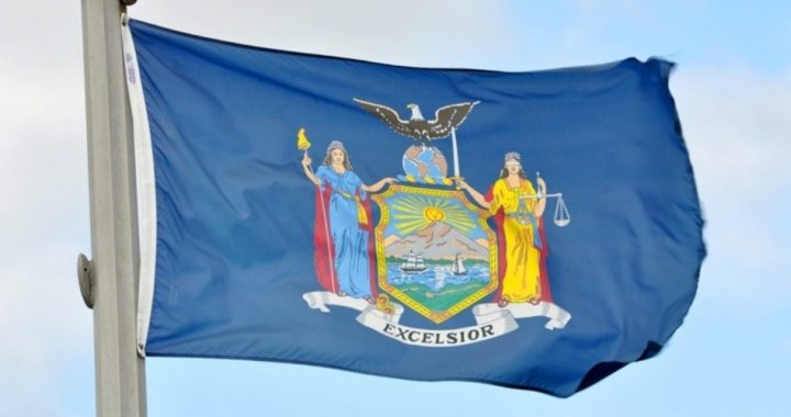 New York Counties Work to Repeal State Gun Control Laws