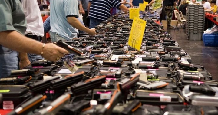 Kansas House of Representatives Passes Gun Control Nullification