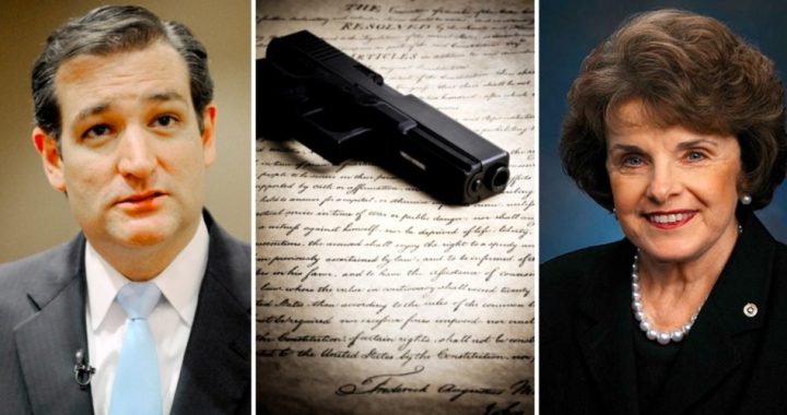 Cruz and Feinstein Clash on Guns and the Constitution