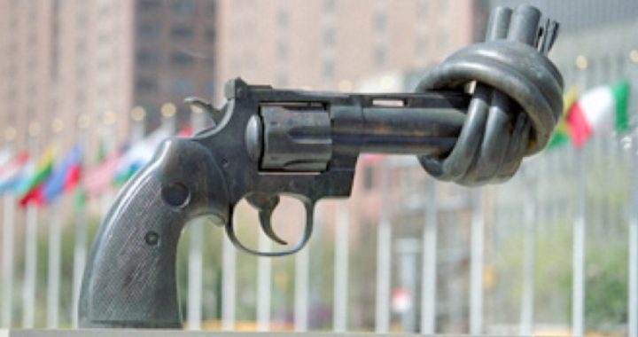 UN Arms Trade Treaty: National Lists of Gun Owners; Ammunition Regulation