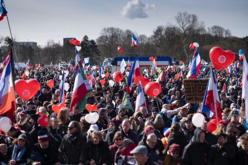 Farmers’ Party Wins Big in Dutch Regional Election, Shaking Political Landscape