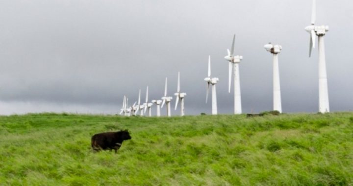 14,000 Idle Wind Turbines a Testament to Failed Energy Policies