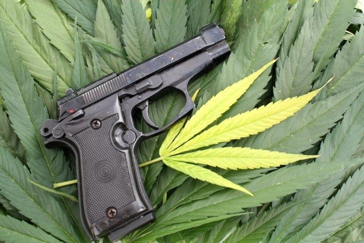 Appeals Court Rules a Marijuana User Cannot Be Banned From Owning Firearms