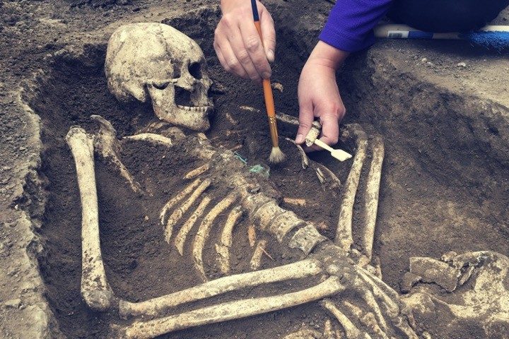 A Bone to Pick: Woke-joke Anthropology Professor Denies Male-female Skeletal Differences