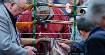 Senate Rejects Amendment to Expand Background Checks for Gun Sales