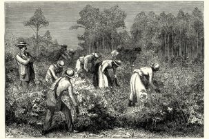 “Secret” Purpose of the Second Amendment: Protect Slavery?