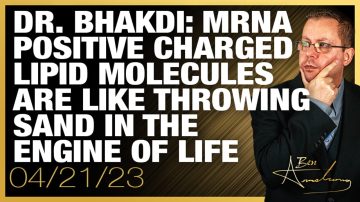 Dr. Bhakdi: mRNA Positive Charged Lipid Molecules Are Like Throwing Sand In The Engine of Life 