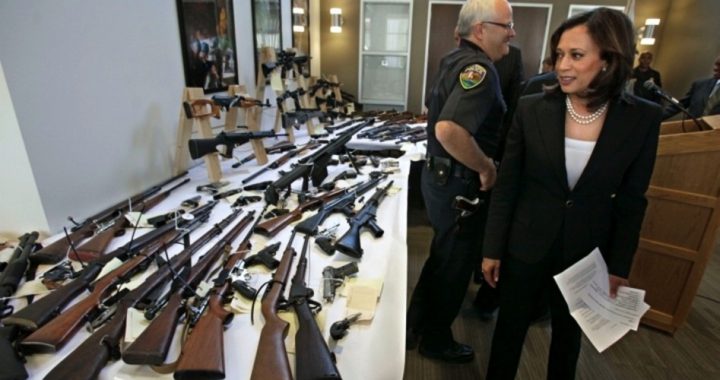 Gun Confiscation Via the Therapeutic State Moves Ahead in California
