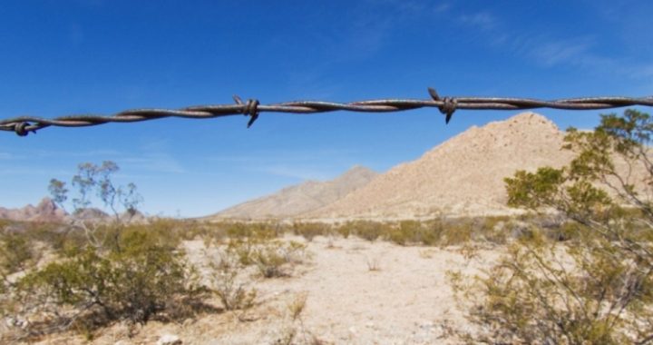 Senate Panel Rejects Border Security Amendment to Immigration Bill