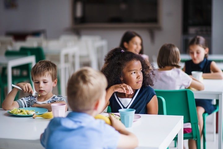 Food Nazis: New School-diet Rules Would Feed Garbage Cans, Not Kids