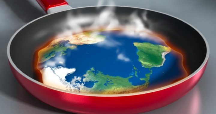 Global Warming “Consensus”: Cooking the Books
