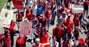 Two Million March Against Monsanto in Worldwide Protest of GM Foods