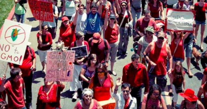 Two Million March Against Monsanto in Worldwide Protest of GM Foods